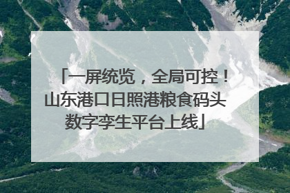 一屏统览，全局可控！山东港口日照港粮食码头数字孪生平台上线