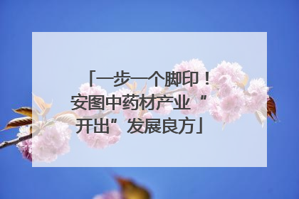 一步一个脚印！安图中药材产业“开出”发展良方