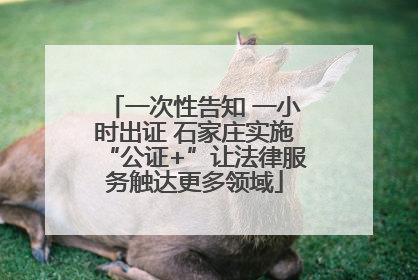 一次性告知 一小时出证 石家庄实施“公证+”让法律服务触达更多领域