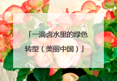 一滴卤水里的绿色转型（美丽中国）