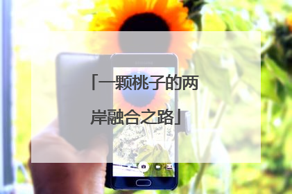 一颗桃子的两岸融合之路