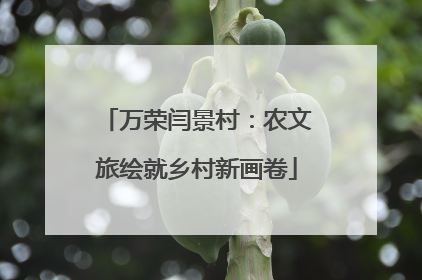 万荣闫景村：农文旅绘就乡村新画卷
