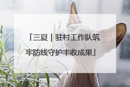 三夏｜驻村工作队筑牢防线守护丰收成果