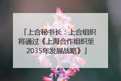 上合秘书长：上合组织将通过《上海合作组织至2035年发展战略》