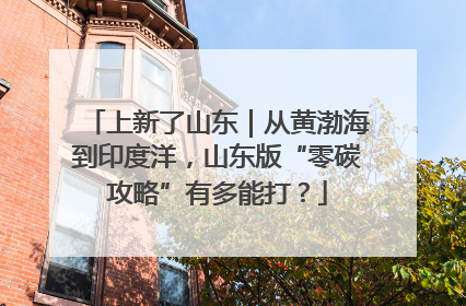 上新了山东｜从黄渤海到印度洋，山东版“零碳攻略”有多能打？