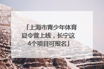 上海市青少年体育夏令营上线，长宁这4个项目可报名