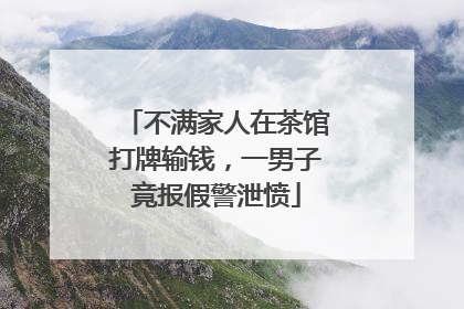 不满家人在茶馆打牌输钱，一男子竟报假警泄愤