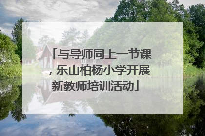 与导师同上一节课，乐山柏杨小学开展新教师培训活动