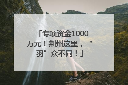 专项资金1000万元！荆州这里，“羽”众不同！