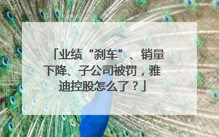 业绩“刹车”、销量下降、子公司被罚，雅迪控股怎么了？