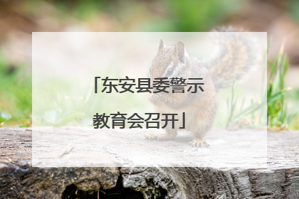 东安县委警示教育会召开