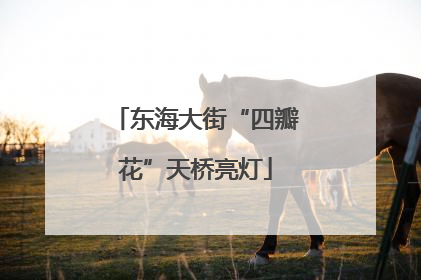 东海大街“四瓣花”天桥亮灯