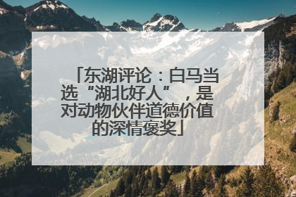 东湖评论：白马当选“湖北好人”，是对动物伙伴道德价值的深情褒奖