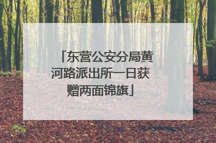 东营公安分局黄河路派出所一日获赠两面锦旗