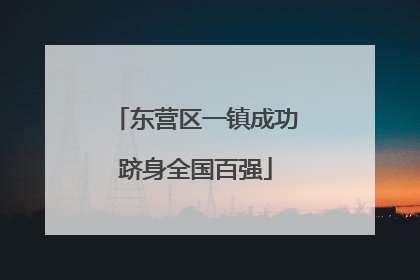 东营区一镇成功跻身全国百强