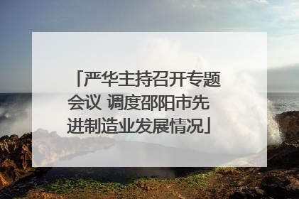 严华主持召开专题会议 调度邵阳市先进制造业发展情况