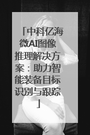 中科亿海微AI图像推理解决方案：助力智能装备目标识别与跟踪