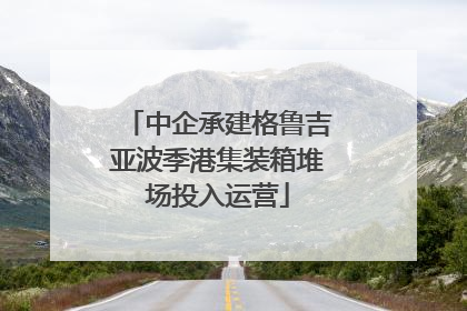 中企承建格鲁吉亚波季港集装箱堆场投入运营