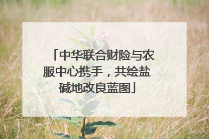 中华联合财险与农服中心携手，共绘盐碱地改良蓝图