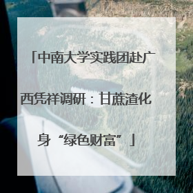 中南大学实践团赴广西凭祥调研：甘蔗渣化身“绿色财富”