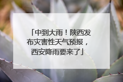 中到大雨！陕西发布灾害性天气预报，西安降雨要来了