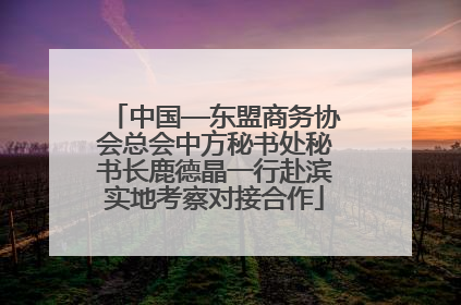中国—东盟商务协会总会中方秘书处秘书长鹿德晶一行赴滨实地考察对接合作