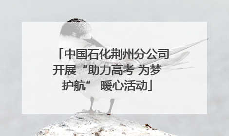 中国石化荆州分公司开展“助力高考 为梦护航” 暖心活动