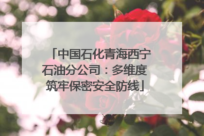 中国石化青海西宁石油分公司：多维度筑牢保密安全防线