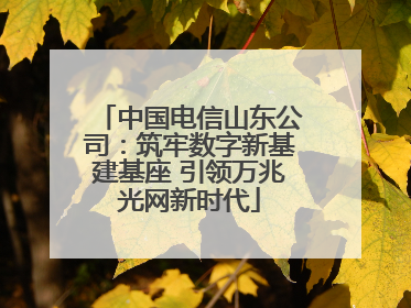 中国电信山东公司：筑牢数字新基建基座 引领万兆光网新时代