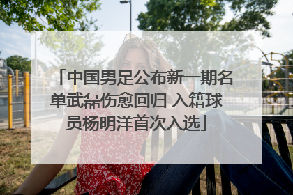 中国男足公布新一期名单武磊伤愈回归 入籍球员杨明洋首次入选