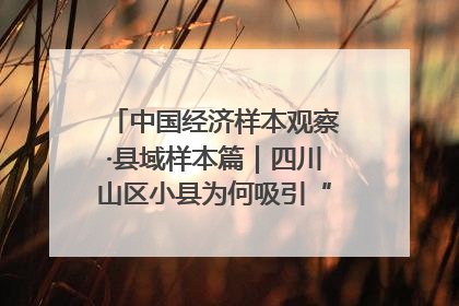 中国经济样本观察·县域样本篇｜四川山区小县为何吸引“村播”扎堆？