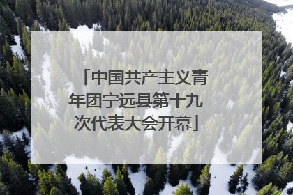 中国共产主义青年团宁远县第十九次代表大会开幕