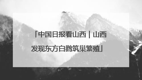 中国日报看山西｜山西发现东方白鹳筑巢繁殖