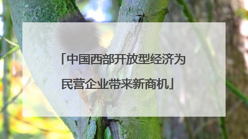 中国西部开放型经济为民营企业带来新商机