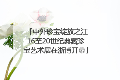 中外珍宝绽放之江 16至20世纪典藏珍宝艺术展在浙博开幕