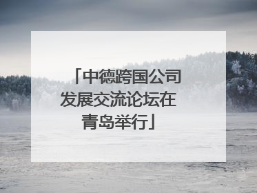 中德跨国公司发展交流论坛在青岛举行