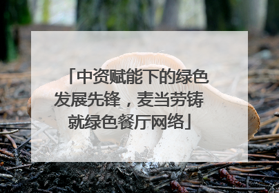 中资赋能下的绿色发展先锋，麦当劳铸就绿色餐厅网络
