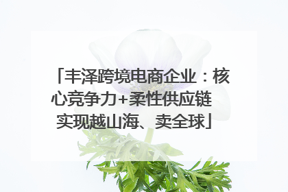 丰泽跨境电商企业：核心竞争力+柔性供应链 实现越山海、卖全球