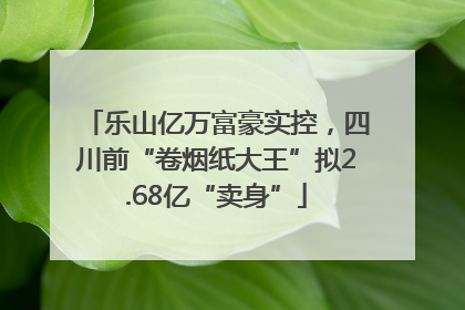 乐山亿万富豪实控，四川前“卷烟纸大王”拟2.68亿“卖身”