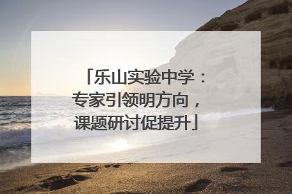 乐山实验中学：专家引领明方向，课题研讨促提升
