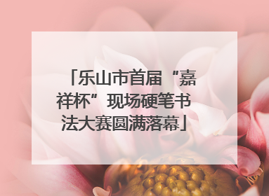 乐山市首届“嘉祥杯”现场硬笔书法大赛圆满落幕