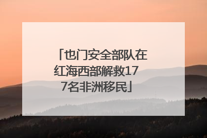 也门安全部队在红海西部解救177名非洲移民