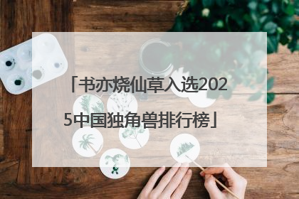 书亦烧仙草入选2025中国独角兽排行榜