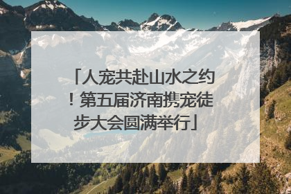 人宠共赴山水之约！第五届济南携宠徒步大会圆满举行