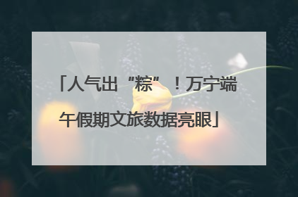 人气出“粽”！万宁端午假期文旅数据亮眼