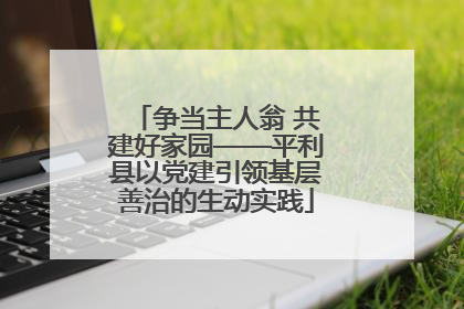 争当主人翁 共建好家园——平利县以党建引领基层善治的生动实践
