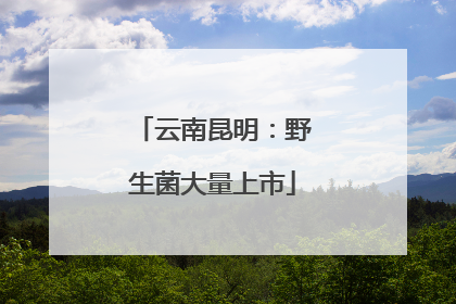 云南昆明：野生菌大量上市