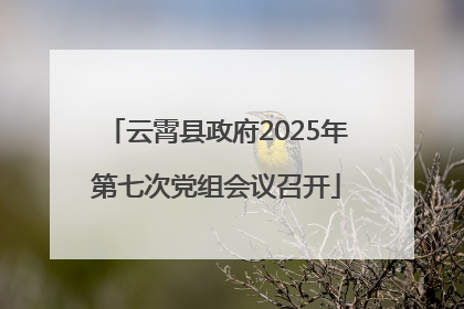 云霄县政府2025年第七次党组会议召开