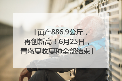 亩产886.9公斤，再创新高！6月25日，青岛夏收夏种全部结束