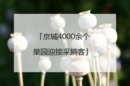 京城4000余个果园迎接采摘客